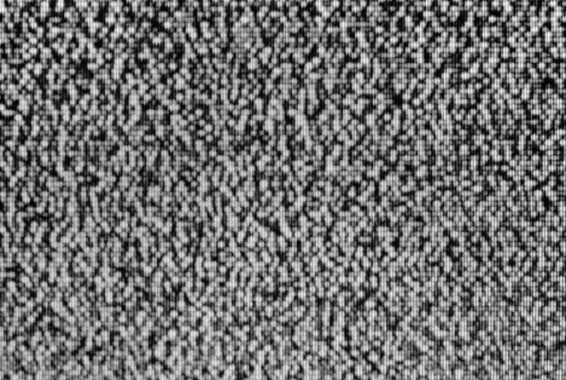 11 Greatest Pranks of All Time That Fooled Many People 11 Greatest Pranks of All Time That Fooled Many People