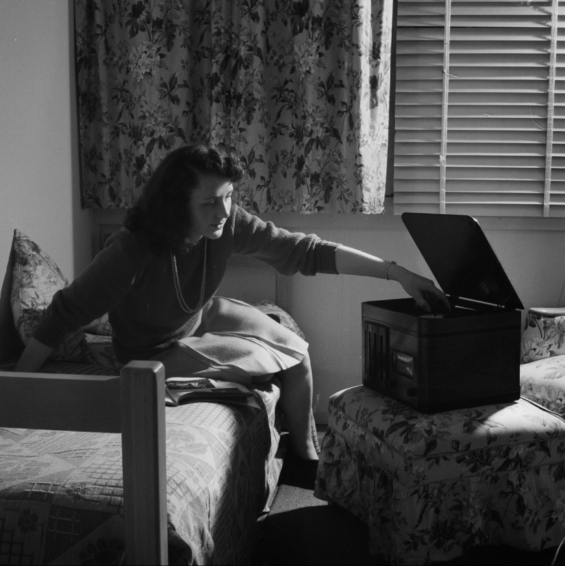 11 hectares of free women