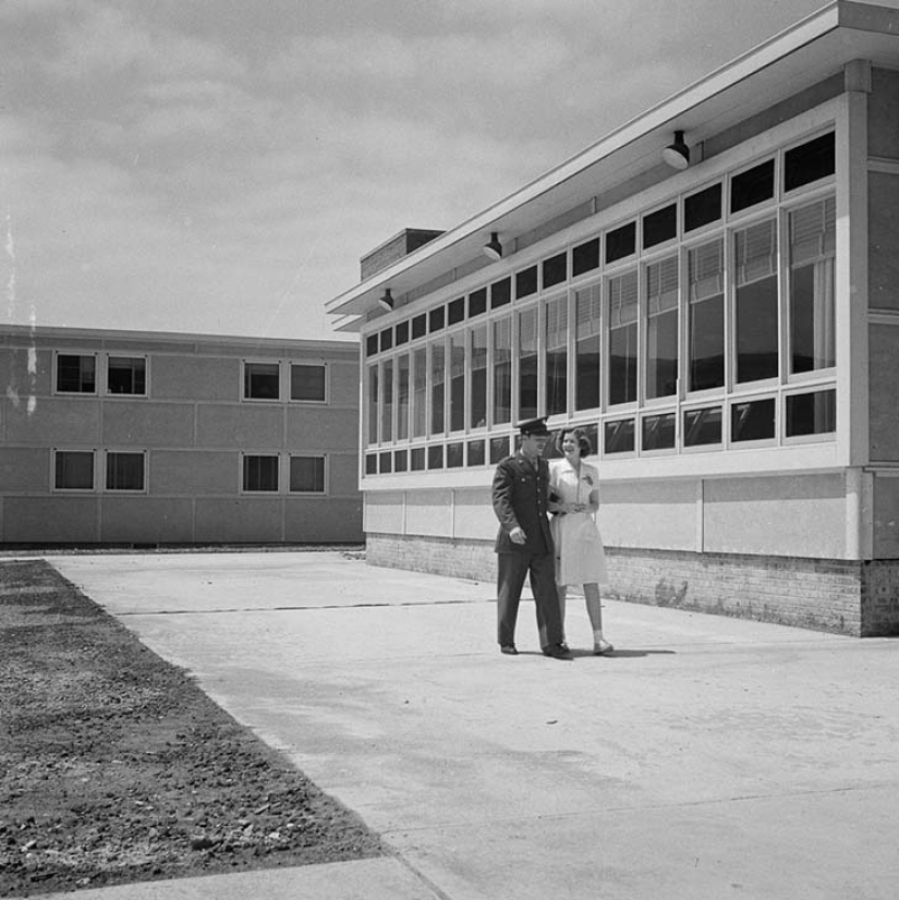 11 hectáreas de mujeres libres 11 hectáreas de mujeres libres