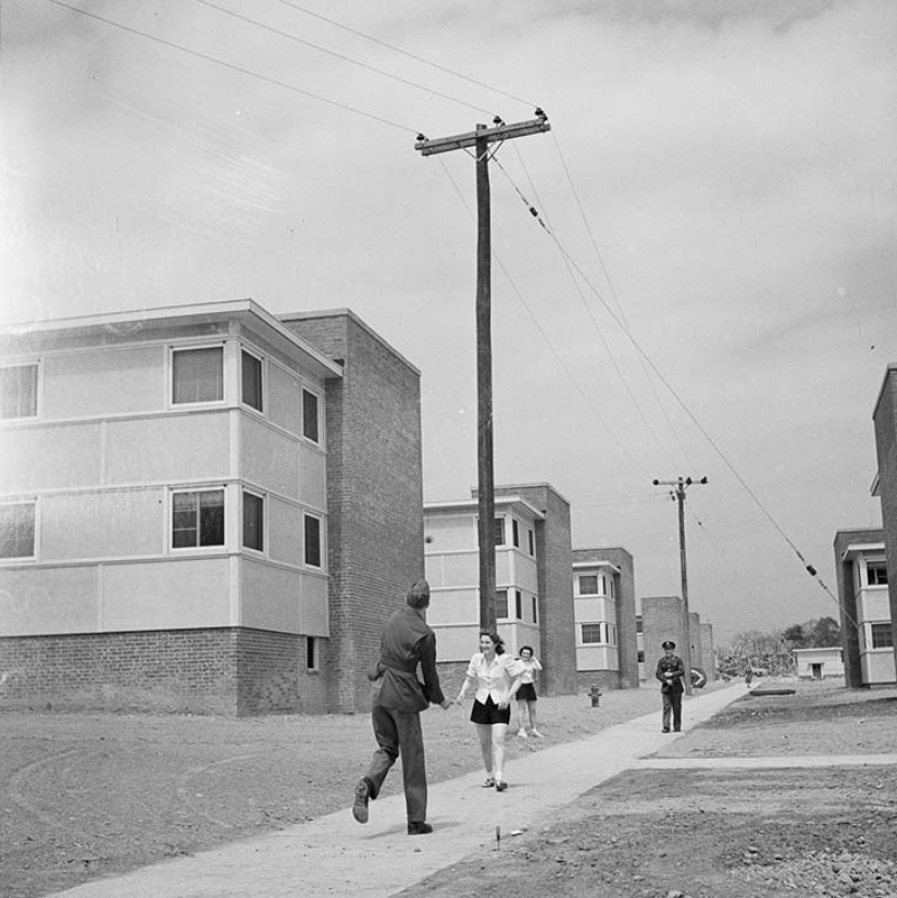 11 hectáreas de mujeres libres 11 hectáreas de mujeres libres