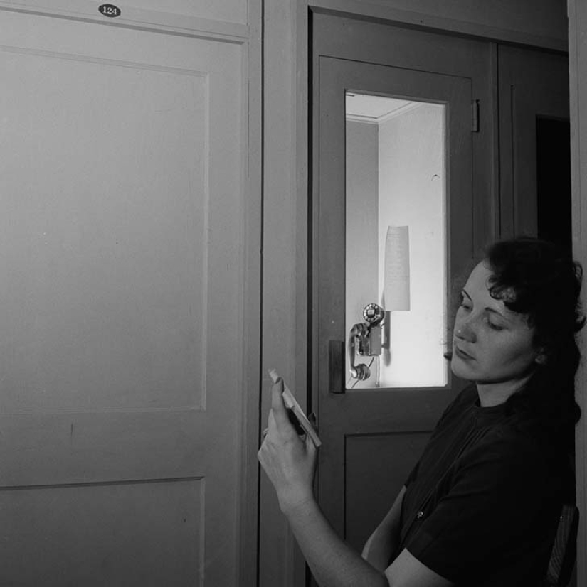 11 hectáreas de mujeres libres 11 hectáreas de mujeres libres