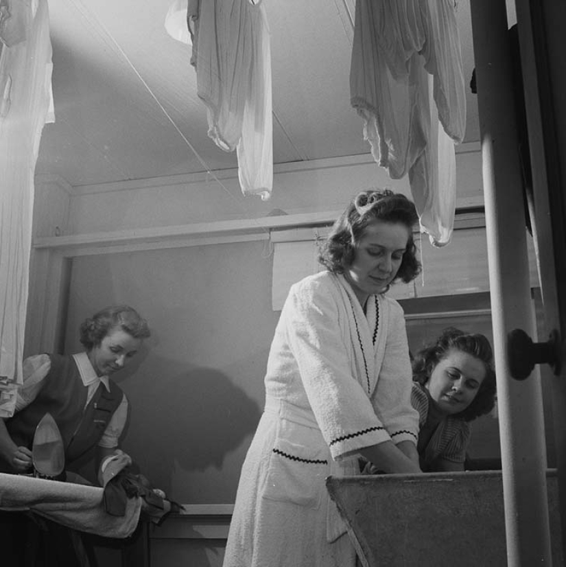 11 hectáreas de mujeres libres 11 hectáreas de mujeres libres