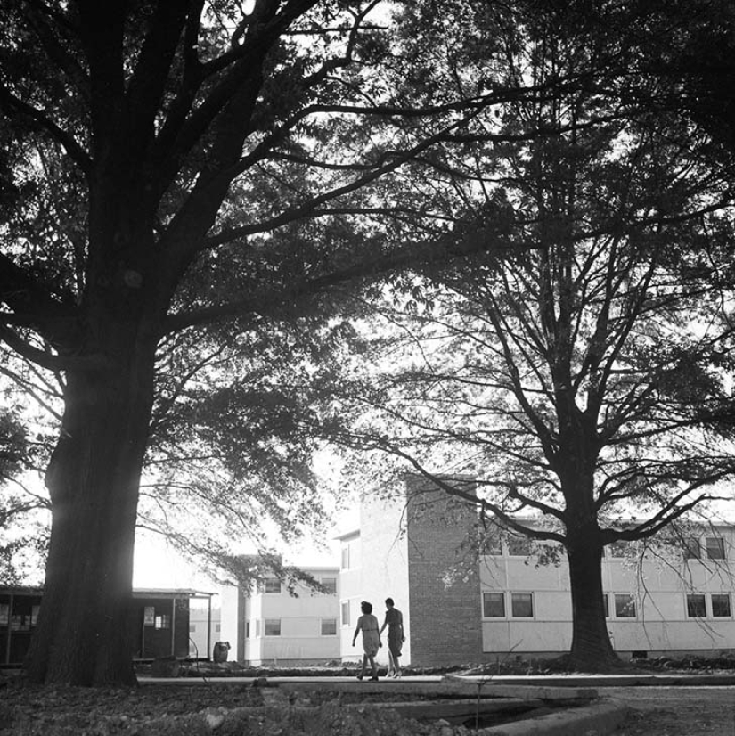 11 hectáreas de mujeres libres 11 hectáreas de mujeres libres