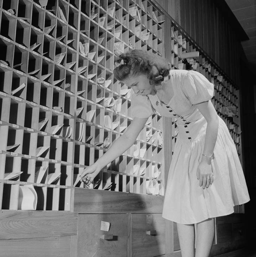 11 hectáreas de mujeres libres 11 hectáreas de mujeres libres