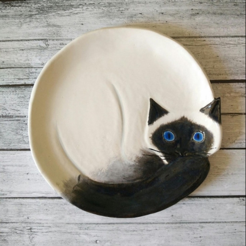 12 beautiful decorative plates in the form of snugly curled cats 12 beautiful decorative plates in the form of snugly curled cats