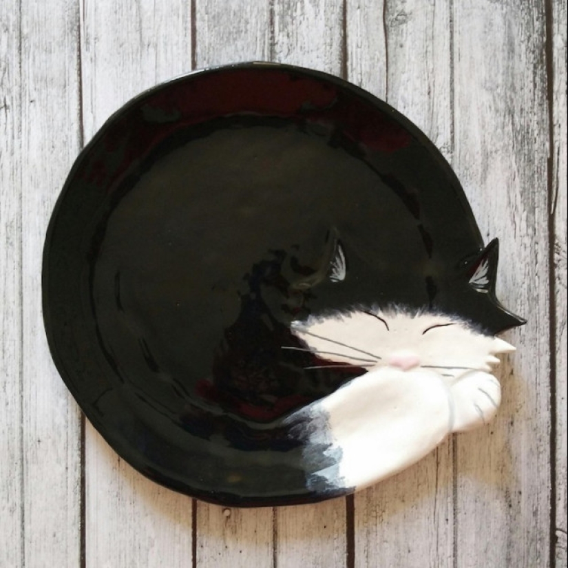 12 beautiful decorative plates in the form of snugly curled cats 12 beautiful decorative plates in the form of snugly curled cats