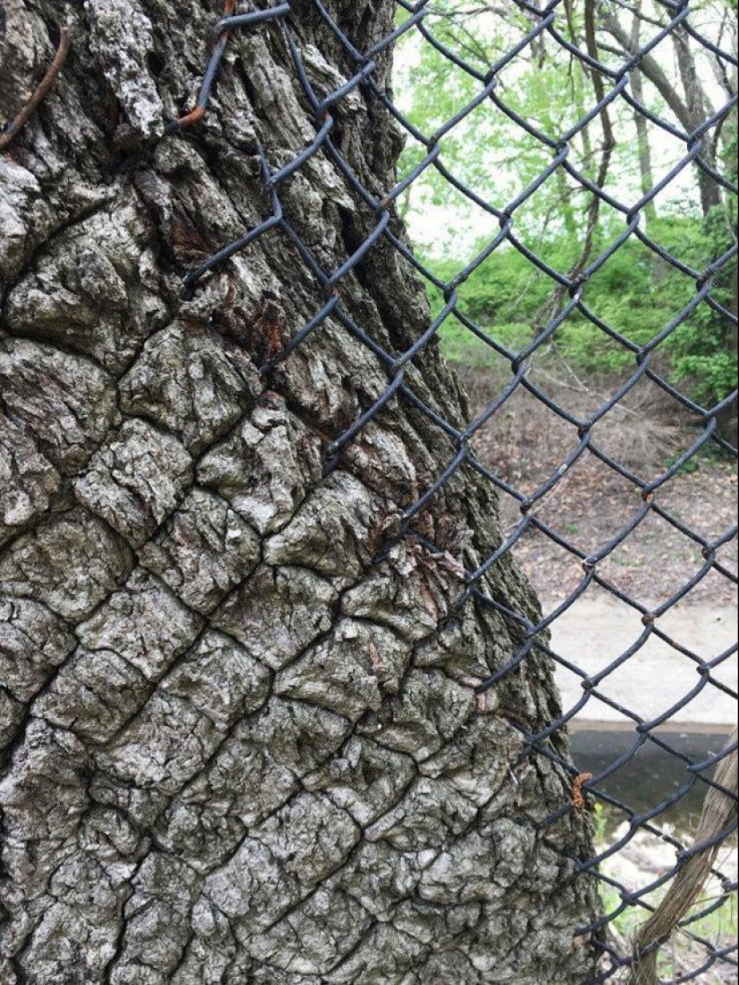 12 fotos informativas que demuestran claramente lo que sucede cuando…