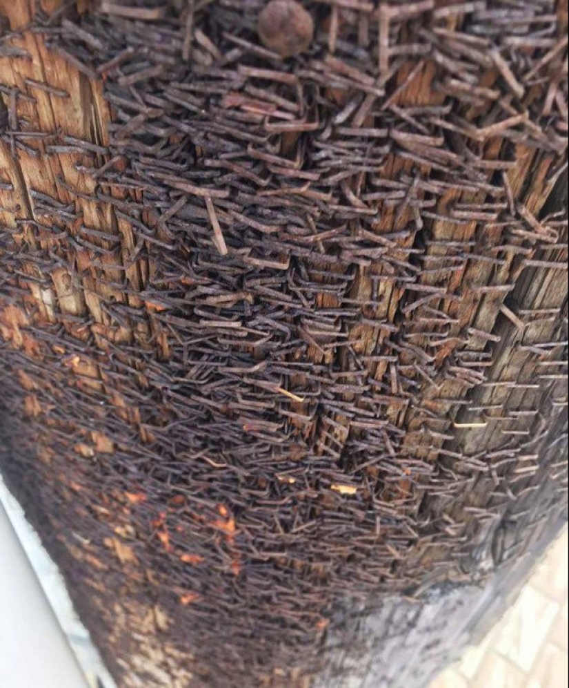 12 fotos informativas que demuestran claramente lo que sucede cuando…