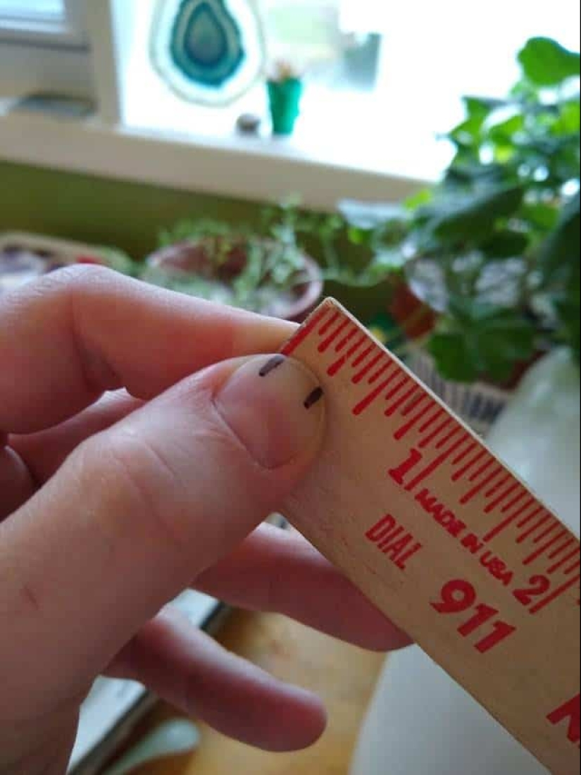 12 great working life hacks that will come in handy at any time