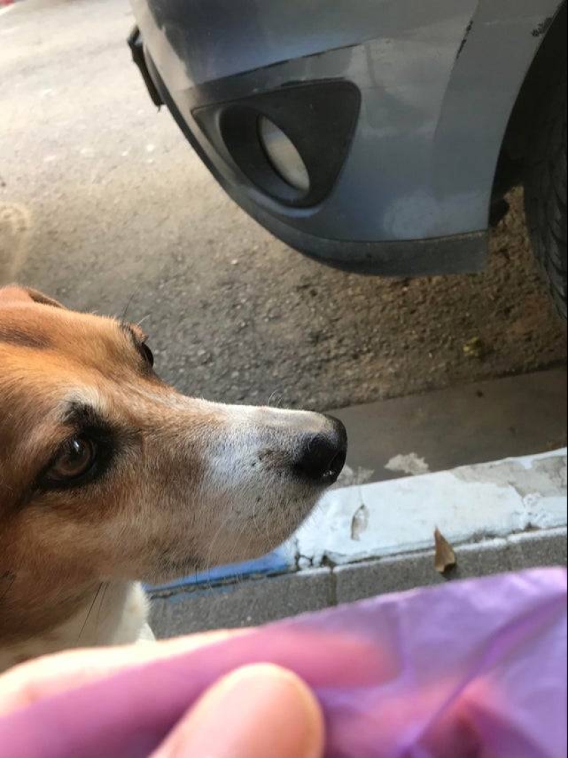 12 great working life hacks that will come in handy at any time