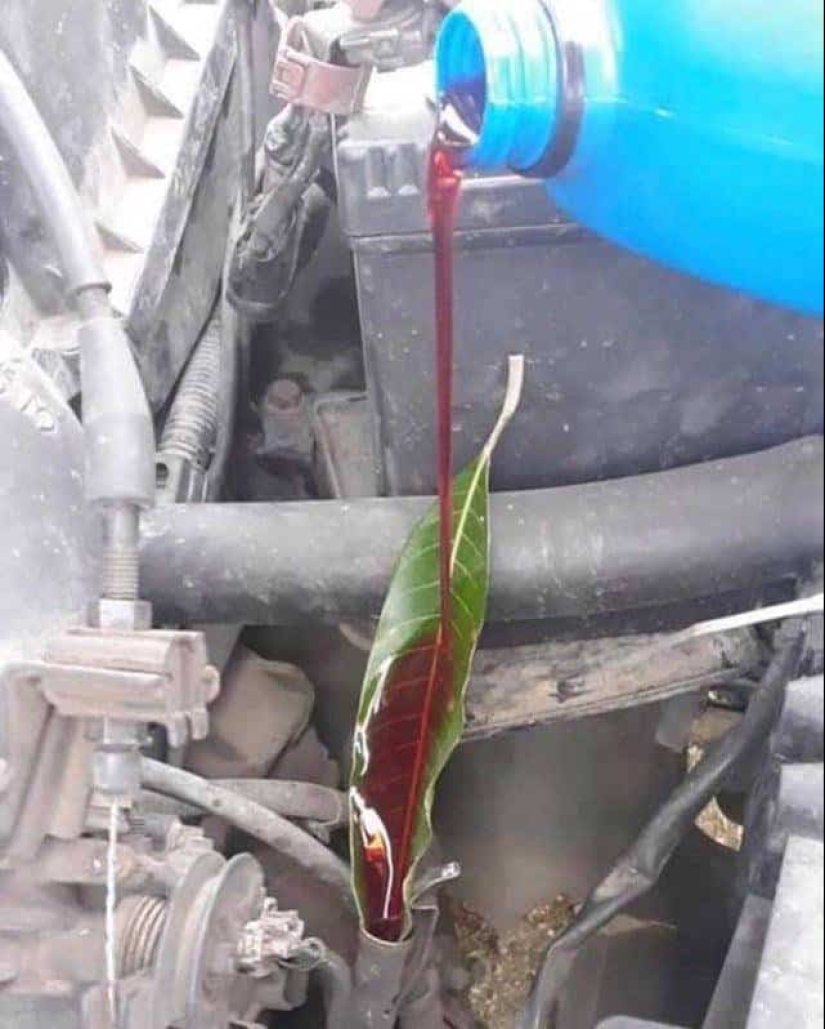 12 great working life hacks that will come in handy at any time