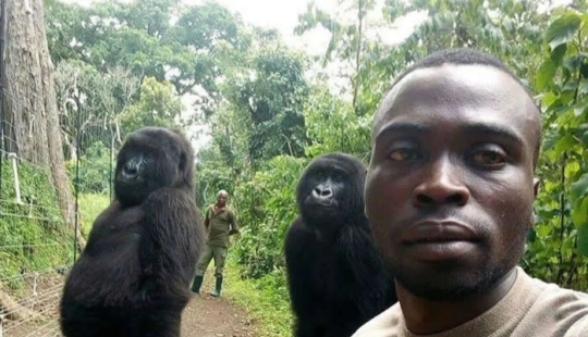 12 Heartwarming Photos to Bring You Happiness and Fill Your Day with Joy