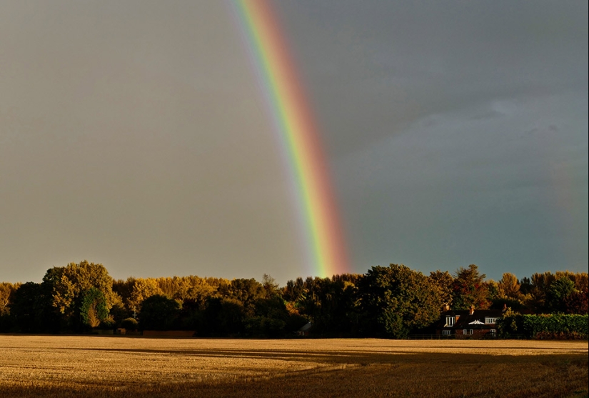 12 little-known names for things that everyone knows 12 little-known names for things that everyone knows
