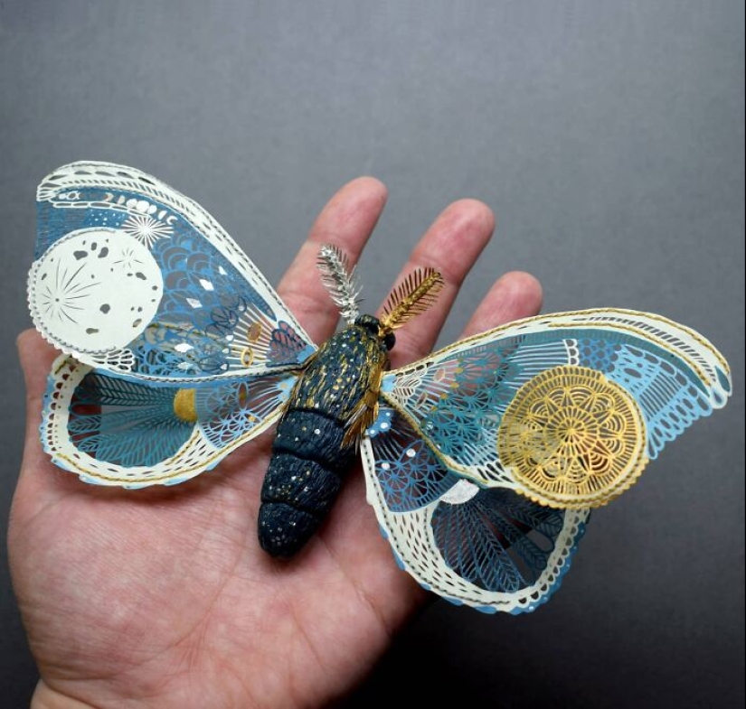 12 Pieces Of Beautiful Hand-Cut Paper Art With Nature Motifs By Pippa Dyrlaga 12 Pieces Of Beautiful Hand-Cut Paper Art With Nature Motifs By Pippa Dyrlaga