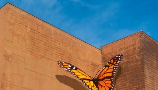 12 Stunning Murals Bring Butterflies to Life in the Streets
