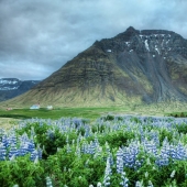 13 amazing facts about Iceland that You didn't even Know About