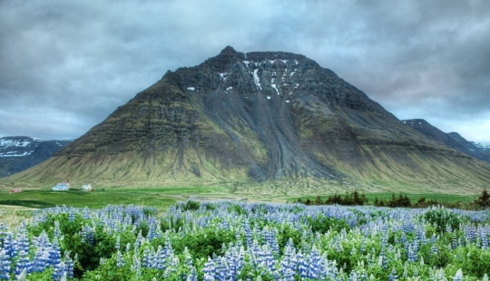 13 datos asombrosos sobre Islandia que ni siquiera conocías
