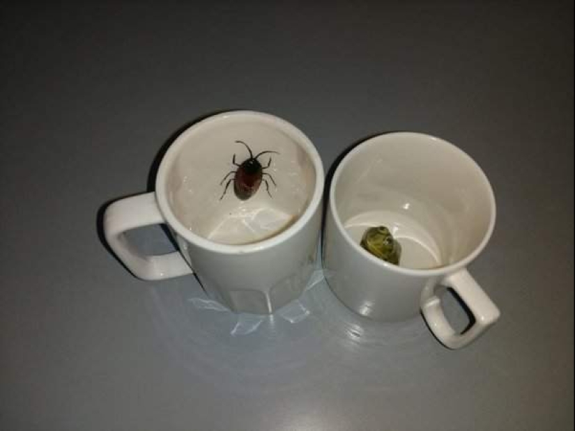 13 extraños y cosas interesantes de los mercados de pulgas