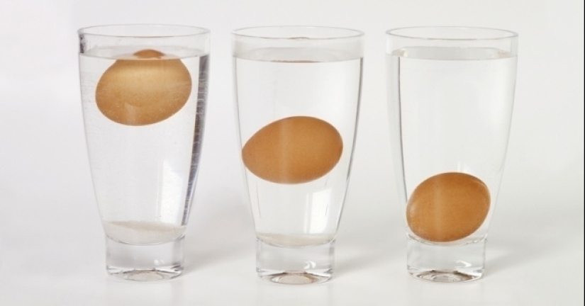 13 interesting facts about food that will definitely surprise you