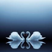 13 Meditative Photo Art Pieces Made By Benjamin Wolf