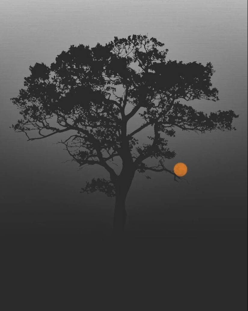 13 Meditative Photo Art Pieces Made By Benjamin Wolf 13 Meditative Photo Art Pieces Made By Benjamin Wolf