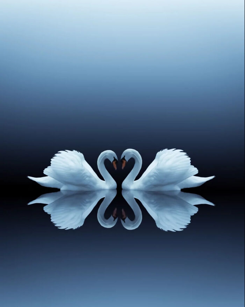 13 Meditative Photo Art Pieces Made By Benjamin Wolf 13 Meditative Photo Art Pieces Made By Benjamin Wolf