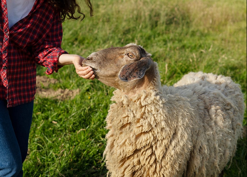 13 personas comparten el mito que muchos extranjeros aún aceptan como realidad sobre su país 13 personas comparten el mito que muchos extranjeros aún aceptan como realidad sobre su país