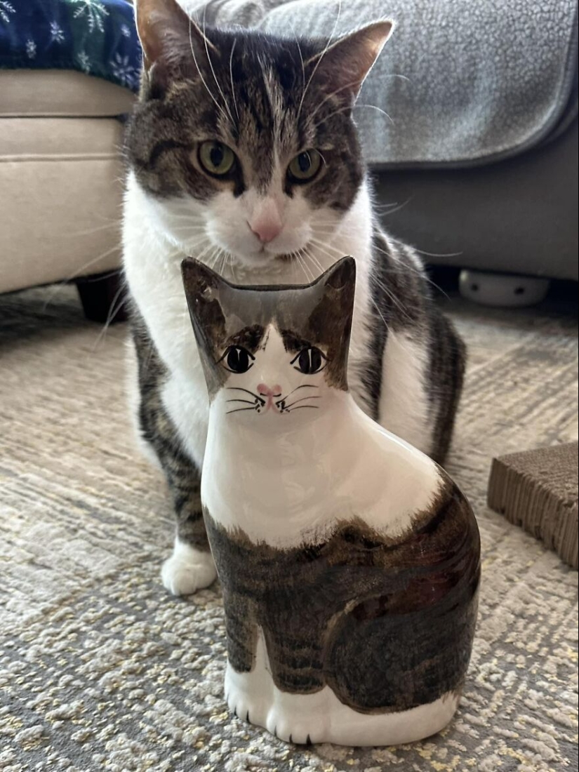 14 ocasiones en las que la gente no podía creer su suerte en las tiendas de segunda mano 14 ocasiones en las que la gente no podía creer su suerte en las tiendas de segunda mano