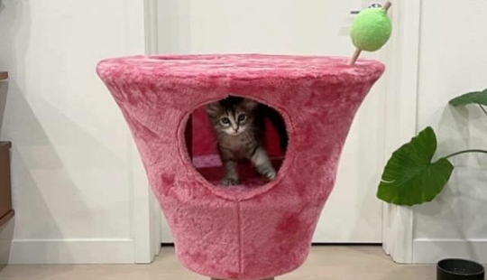 14 ocasiones en las que la gente no podía creer su suerte en las tiendas de segunda mano 14 ocasiones en las que la gente no podía creer su suerte en las tiendas de segunda mano