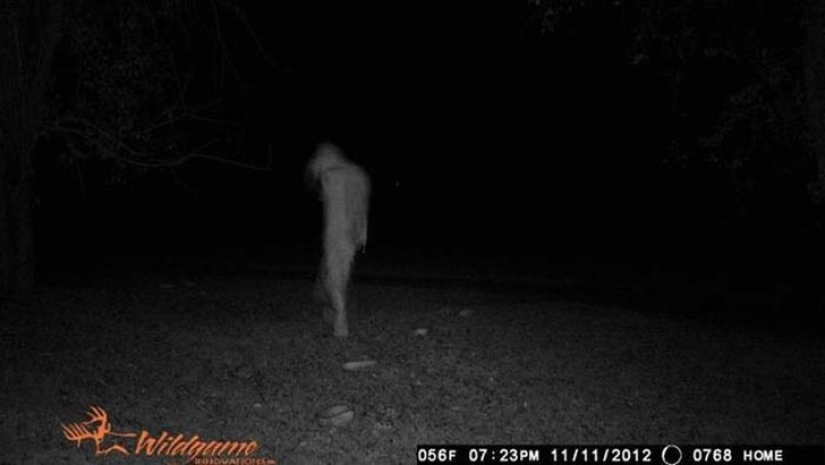 14 of the most eerie shots from hunting night vision cameras 14 of the most eerie shots from hunting night vision cameras