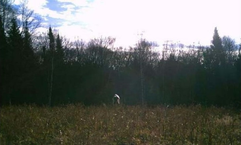 14 of the most eerie shots from hunting night vision cameras 14 of the most eerie shots from hunting night vision cameras