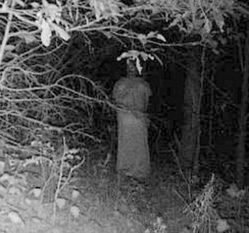 14 of the most eerie shots from hunting night vision cameras 14 of the most eerie shots from hunting night vision cameras