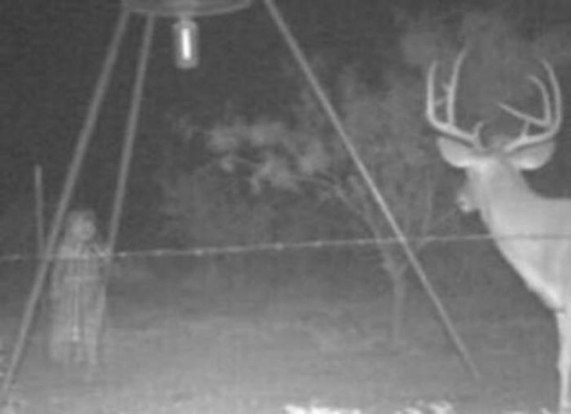 14 of the most eerie shots from hunting night vision cameras 14 of the most eerie shots from hunting night vision cameras