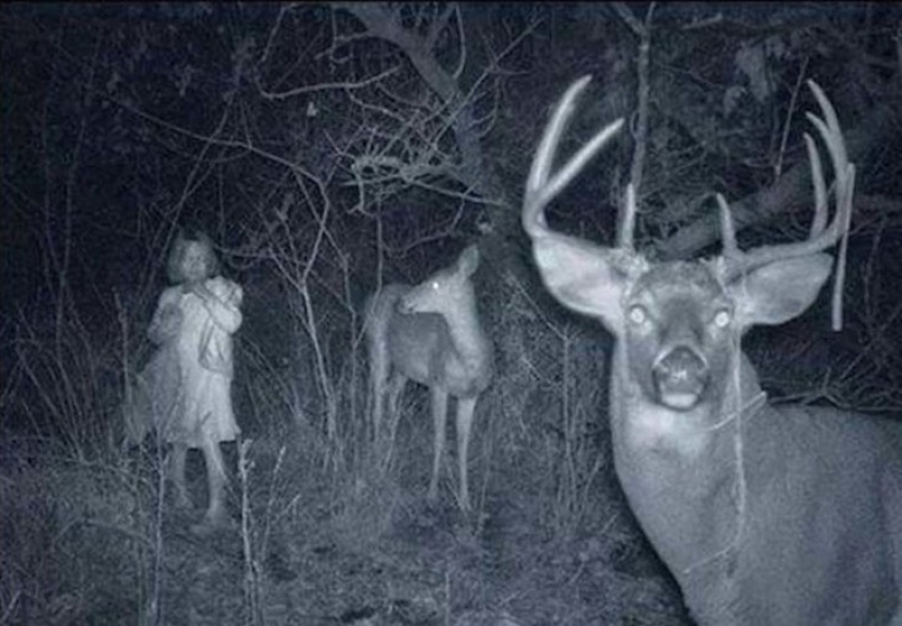 14 of the most eerie shots from hunting night vision cameras 14 of the most eerie shots from hunting night vision cameras