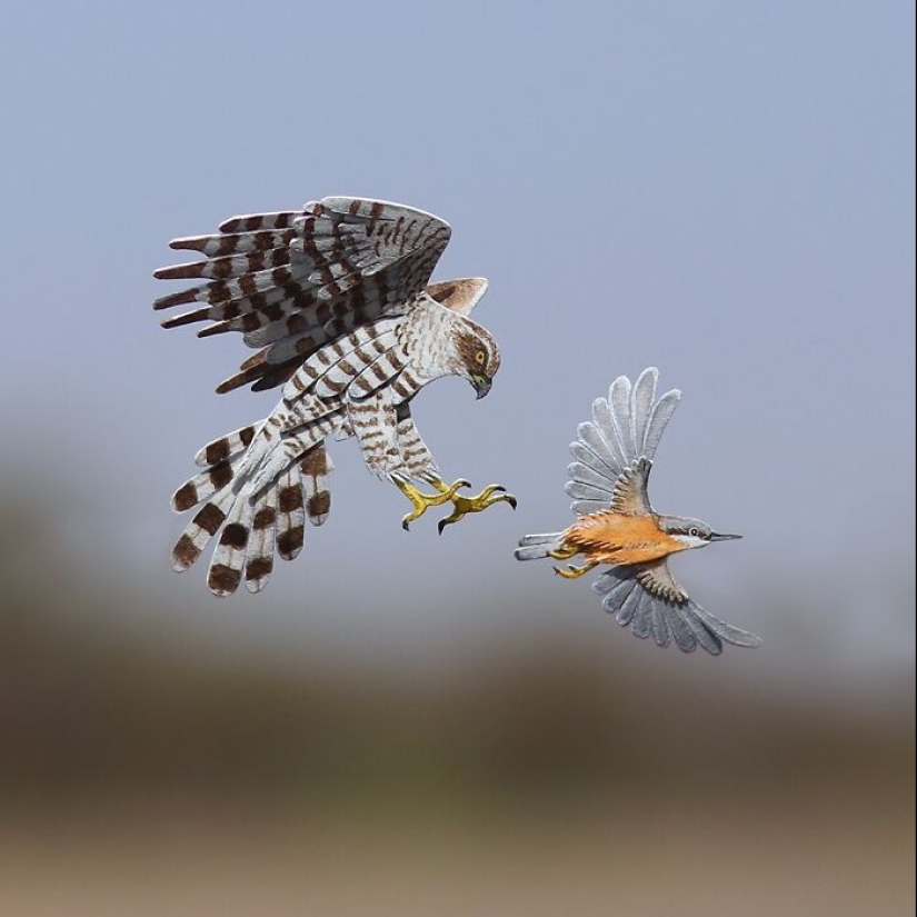 14 pequeñas esculturas de papel realistas de animales que este dúo ha creado