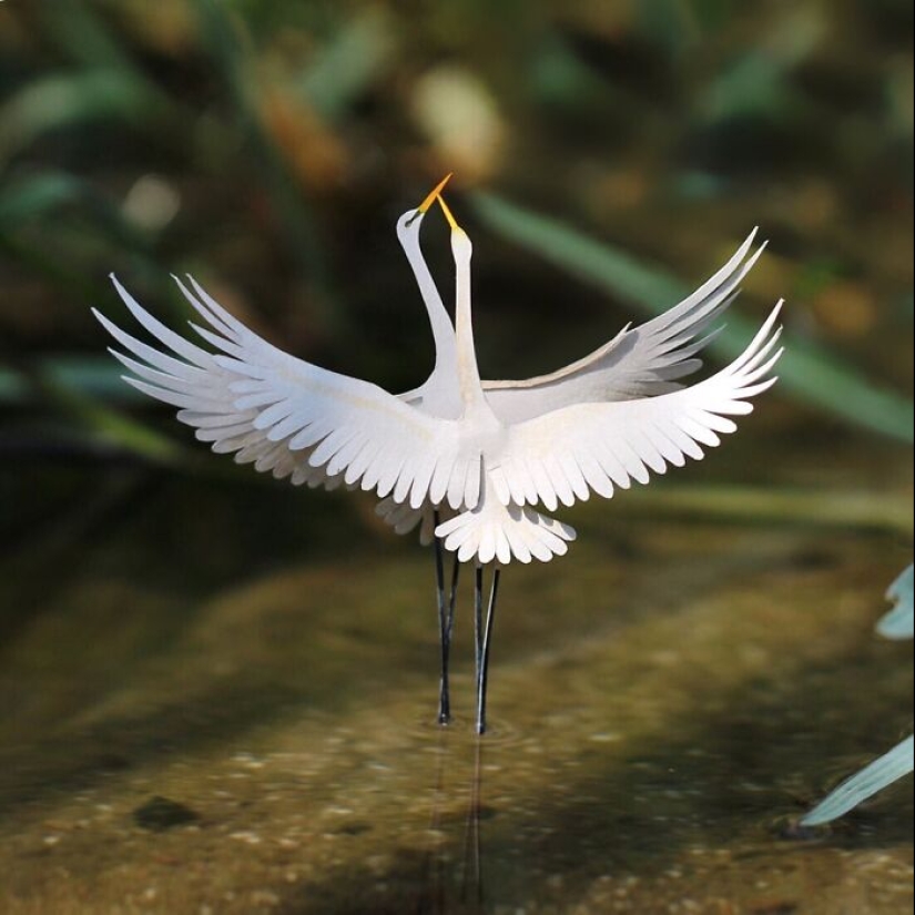 14 pequeñas esculturas de papel realistas de animales que este dúo ha creado
