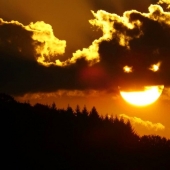 14 photos taken completely by chance at the perfect moment