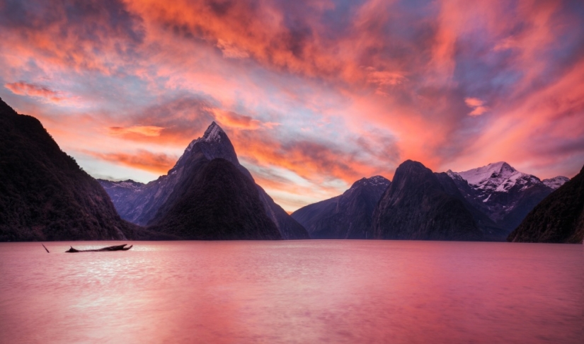 14 photos with which you will discover the magical nature of New Zealand 14 photos with which you will discover the magical nature of New Zealand