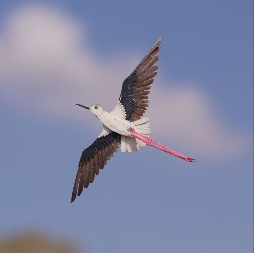 14 Realistic Tiny Paper Sculptures Of Animals That This Duo Has Created