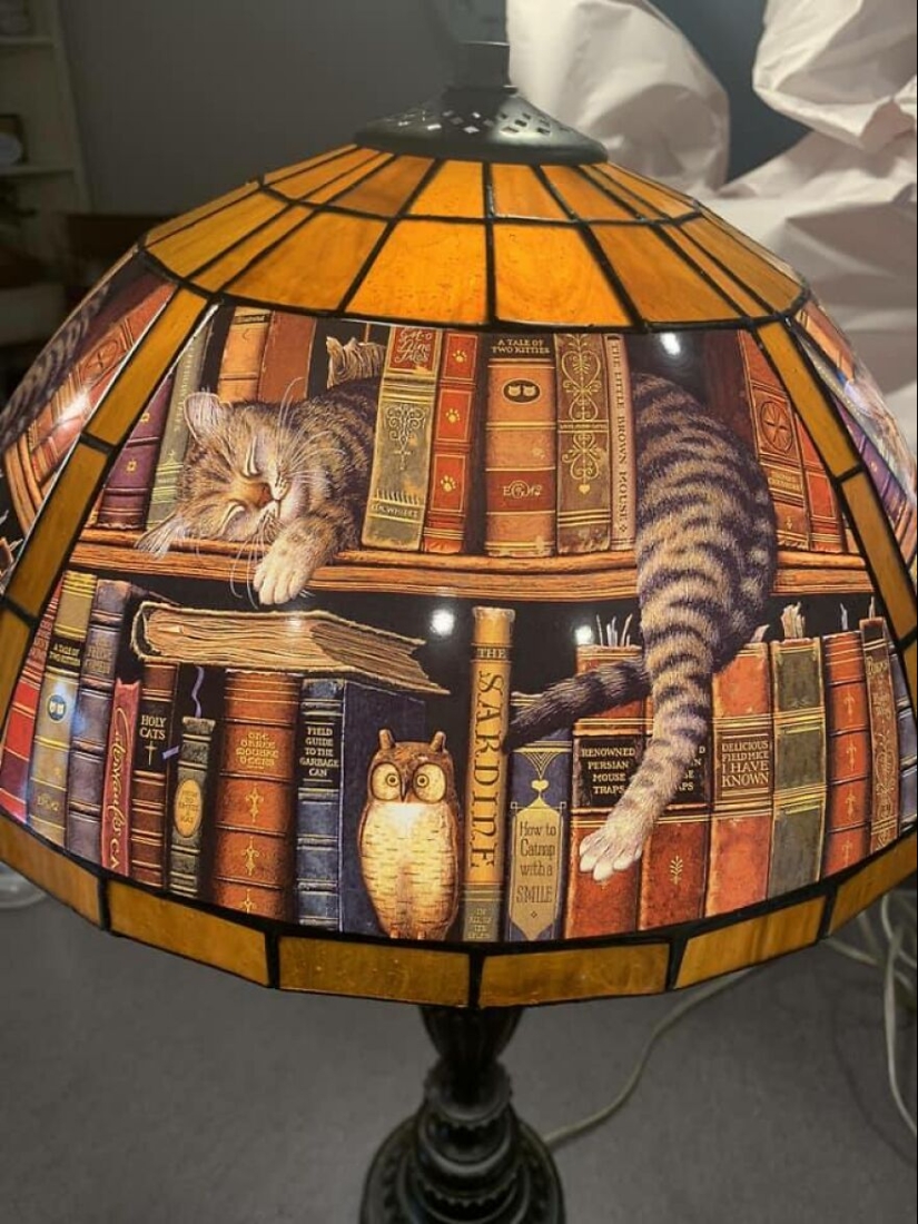 14 Times People Couldn’t Believe Their Luck In Thrift Stores