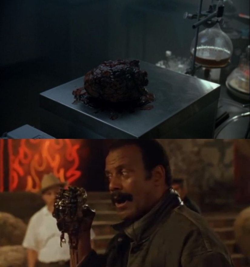 15 accesorios de roaming Hollywood 15 accesorios de roaming Hollywood