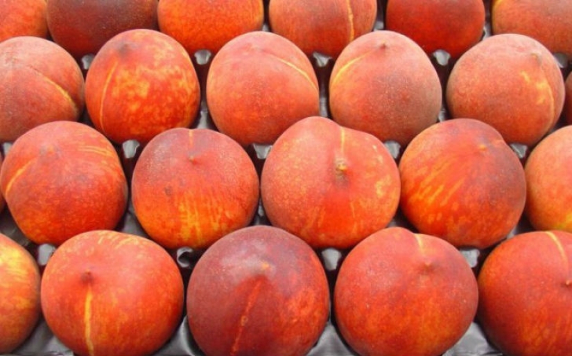 15 alimentos que usted puede comer, incluso en la noche