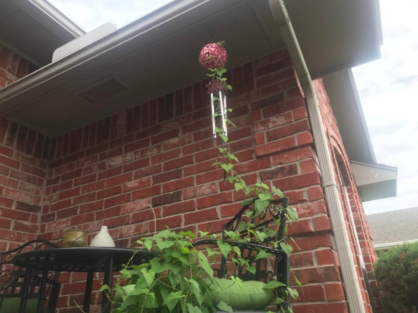 15 amazing situations when nature broke into civilization and began to dictate its rules