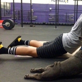 15 animales que hacen yoga más fresco que tú