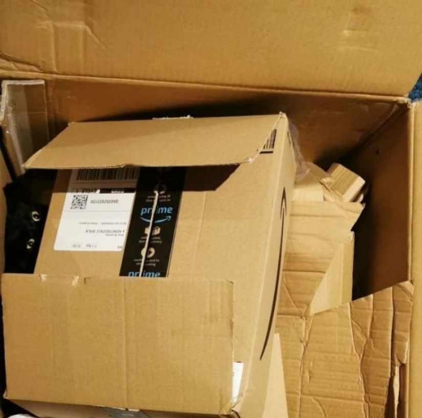 15 animals that can play hide-and-seek better than many people 15 animals that can play hide-and-seek better than many people