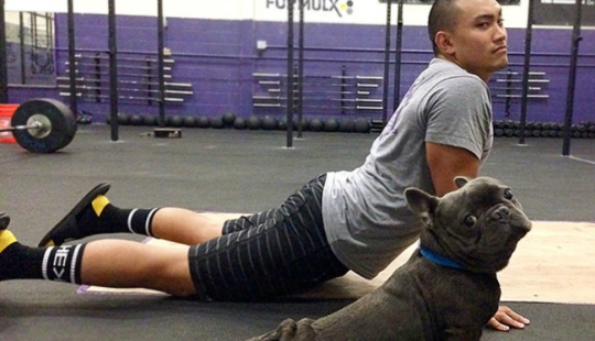 15 animals that do yoga cooler than you