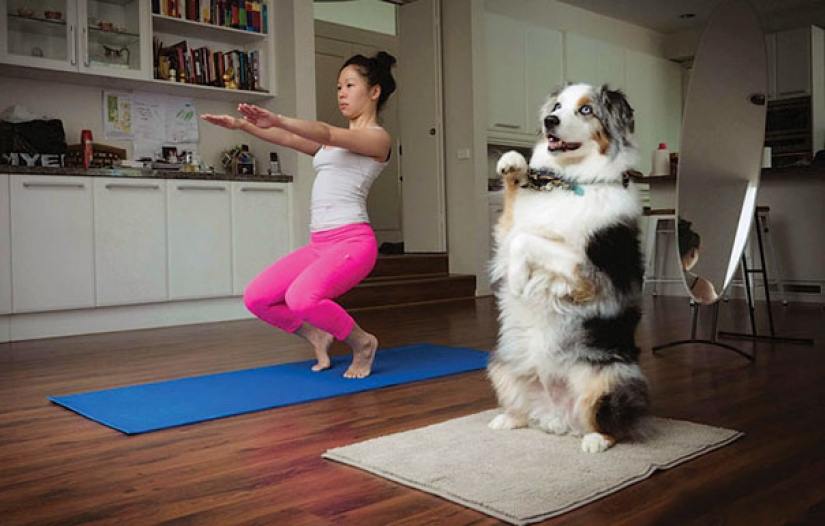 15 animals that do yoga cooler than you