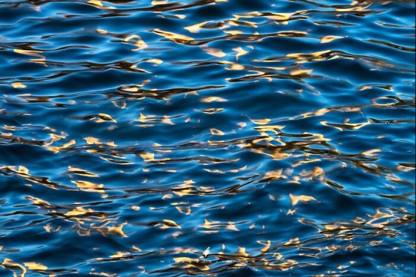 15 Breathtaking Photos Showcasing Nature’s Patterns And Textures By Michael Hindman