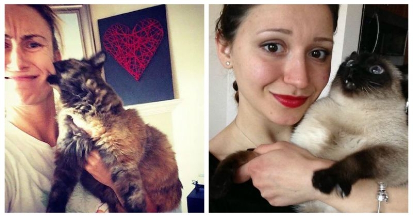 15 cats who hate selfies with people 15 cats who hate selfies with people