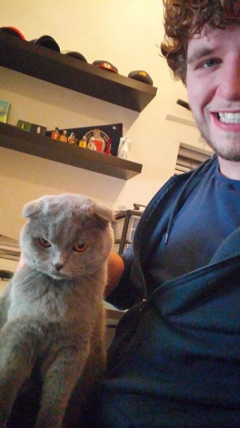 15 cats who hate selfies with people 15 cats who hate selfies with people